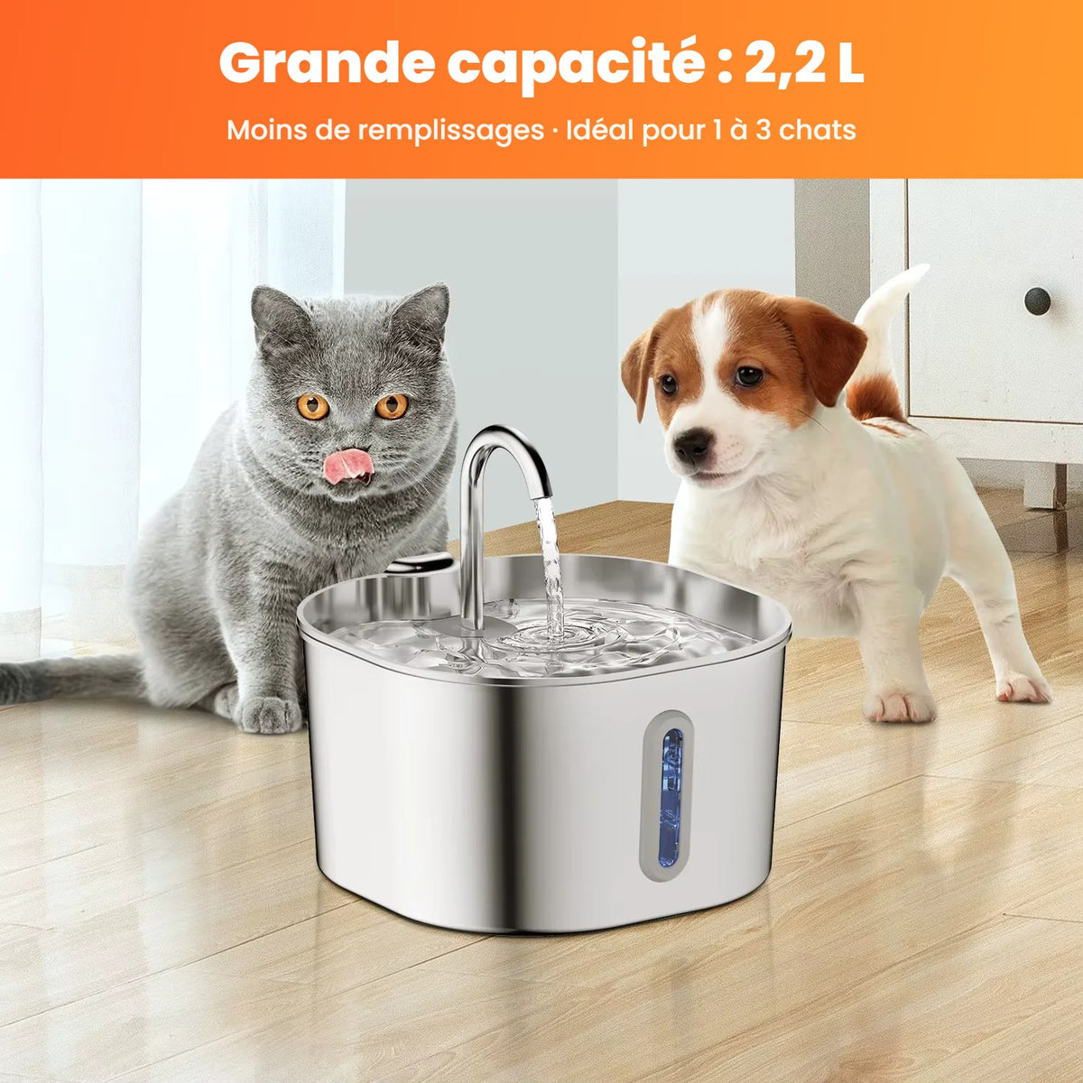 Chat buvant à la fontaine PAWTAIN, grande capacité 2,2 L